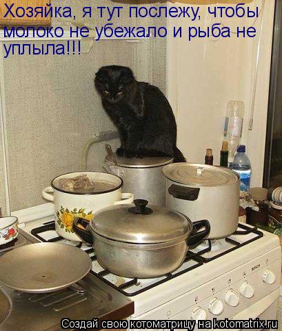Хозяйка, я тут послежу, чтобы молоко не убежало и рыба не уплыла!!!... Котоматрица: Хозяйка, я тут послежу, чтобы молоко не убежало и рыба не уплыла!!!