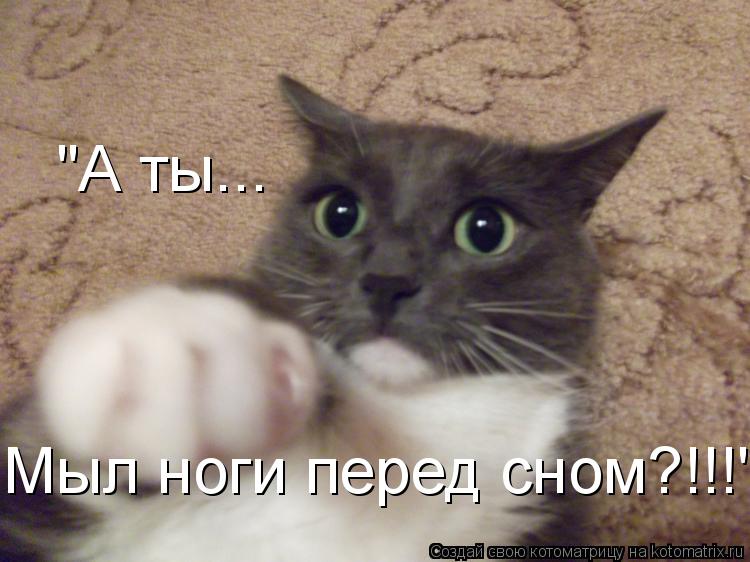 "А ты... Мыл ноги перед сном?!!!"... Котоматрица: "А ты... Мыл ноги перед сном?!!!"