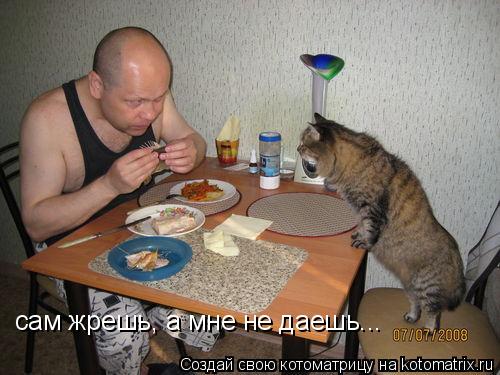 сам жрешь, а мне не даешь...... Котоматрица: сам жрешь, а мне не даешь...