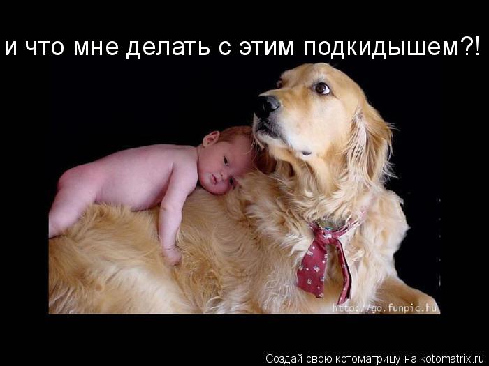 и что мне делать с этим подкидышем?!... Котоматрица: и что мне делать с этим подкидышем?!