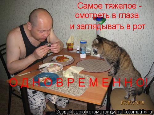 Самое тяжелое - смотреть в глаза и заглядывать в рот О Д Н О В Р Е М Е Н Н О!... Котоматрица: Самое тяжелое - смотреть в глаза и заглядывать в рот О Д Н О В Р Е М Е Н Н О!