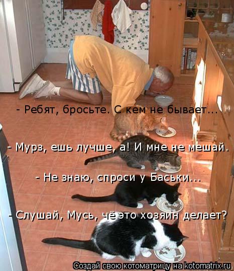 - Слушай, Мусь, чё это хозяин делает? - Не знаю, спроси у Баськи... - Мурз, ешь лучше, а! И мне не ме... Котоматрица: - Слушай, Мусь, чё это хозяин делает? - Не знаю, спроси у Баськи... - Мурз, ешь лучше, а! И мне не мешай. - Ребят, бросьте. С кем не бывает...
