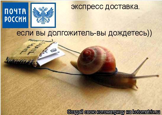 экспресс доставка. если вы долгожитель-вы дождетесь))... Котоматрица: экспресс доставка. если вы долгожитель-вы дождетесь))