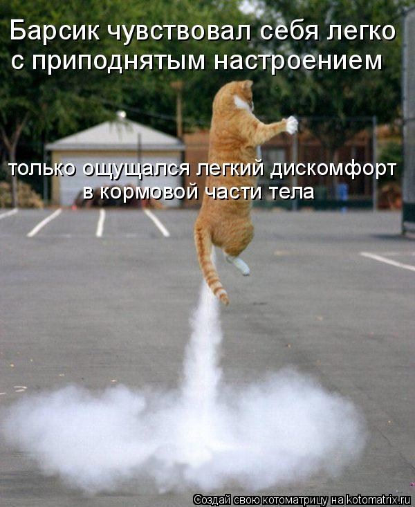 Барсик чувствовал себя легко с приподнятым настроением только ощущался легкий дискомфорт в кормовой ... Котоматрица: Барсик чувствовал себя легко с приподнятым настроением только ощущался легкий дискомфорт в кормовой части тела