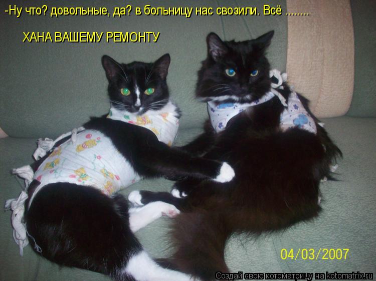 -Ну что? довольные, да? в больницу нас свозили. Всё ........ ХАНА ВАШЕМУ РЕМОНТУ... Котоматрица: -Ну что? довольные, да? в больницу нас свозили. Всё ........ ХАНА ВАШЕМУ РЕМОНТУ