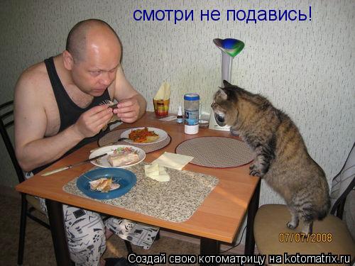 смотри не подавись!... Котоматрица: смотри не подавись!