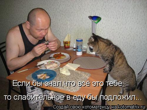 Если бы знал,что всё это тебе, то слабительное в еду бы подложил...... Котоматрица: Если бы знал,что всё это тебе, то слабительное в еду бы подложил...
