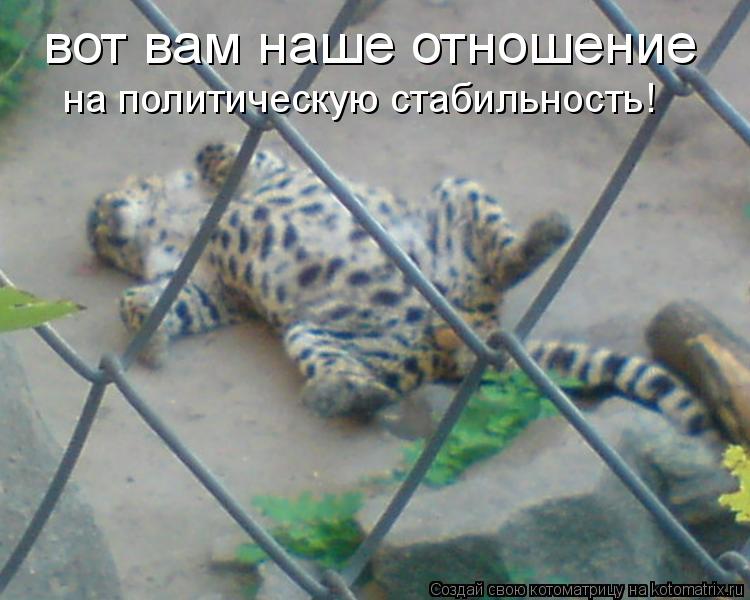 вот вам наше отношение на политическую стабильность!... Котоматрица: вот вам наше отношение на политическую стабильность!