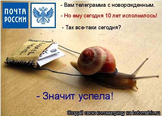 - Вам телеграмма с новорожденным. - Но ему сегодня 10 лет исполнилось! - Так все-таки сегодня? - Знач... Котоматрица: - Вам телеграмма с новорожденным. - Но ему сегодня 10 лет исполнилось! - Так все-таки сегодня? - Значит успела!