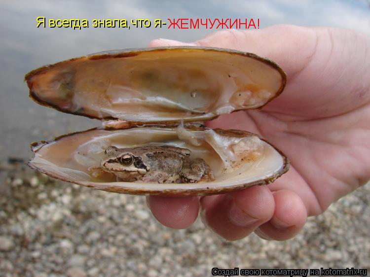 Я всегда знала,что я- Я всегда знала,что я- ЖЕМЧУЖИНА!... Котоматрица: Я всегда знала,что я- Я всегда знала,что я- ЖЕМЧУЖИНА!