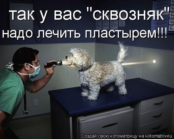 так у вас "сквозняк" надо лечить пластырем!!!... Котоматрица: так у вас "сквозняк" надо лечить пластырем!!!