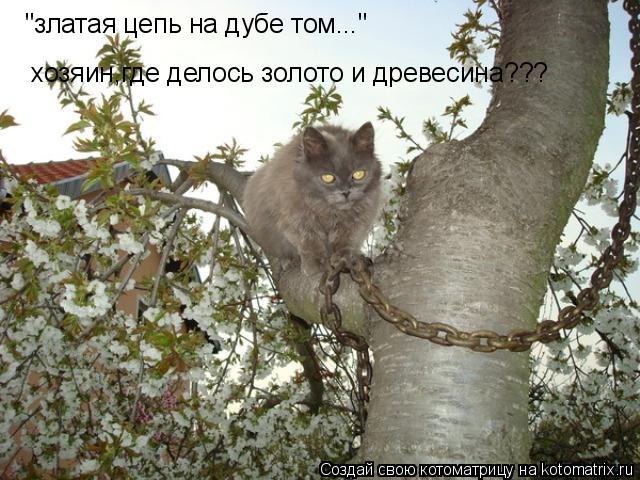 "златая цепь на дубе том..." хозяин,где делось золото и древесина???... Котоматрица: "златая цепь на дубе том..." хозяин,где делось золото и древесина???
