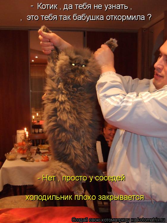 Котик , да тебя не узнать , , это тебя так бабушка откормила ? - Нет , просто у соседей холодильни... Котоматрица: Котик , да тебя не узнать , , это тебя так бабушка откормила ? - Нет , просто у соседей холодильник плохо закрывается -