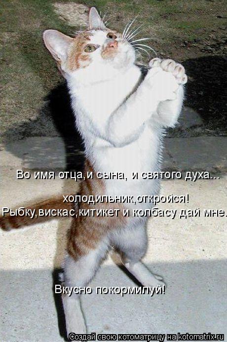 Во имя отца,и сына, и святого духа... холодильник,откройся! Рыбку,вискас,китикет и колбасу дай мне. В... Котоматрица: Во имя отца,и сына, и святого духа... холодильник,откройся! Рыбку,вискас,китикет и колбасу дай мне. Вкусно покормилуй!