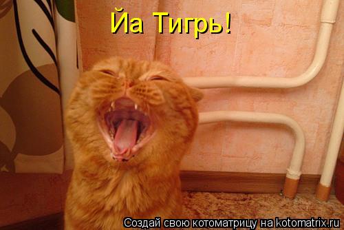 Йа Тигрь!... Котоматрица: Йа Тигрь!