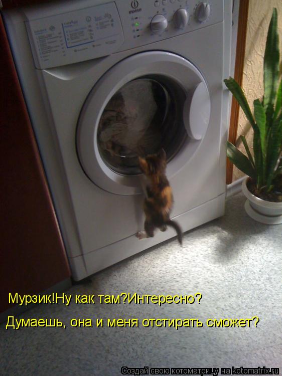 Мурзик!Ну как там?Интересно? Думаешь, она и меня отстирать сможет?... Котоматрица: Мурзик!Ну как там?Интересно? Думаешь, она и меня отстирать сможет?