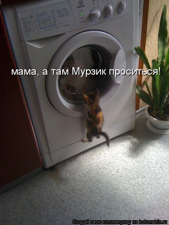 мама, а там Мурзик проситься!... Котоматрица: мама, а там Мурзик проситься!