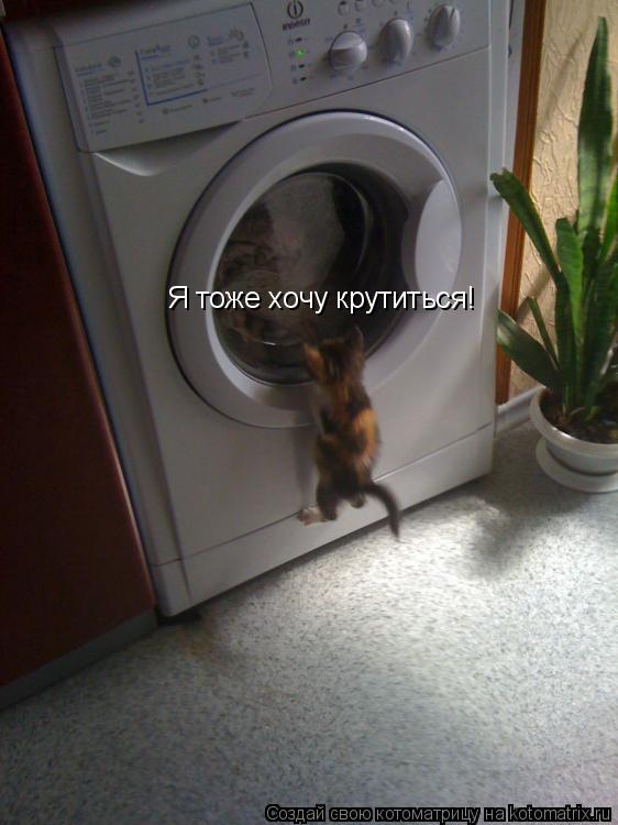 Я тоже хочу крутиться!... Котоматрица: Я тоже хочу крутиться!