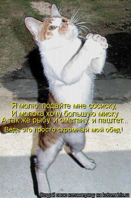 Я молю: подайте мне сосиску, И молока хочу большую миску А так же рыбу, и сметану, и паштет... Ведь ... Котоматрица: Я молю: подайте мне сосиску, И молока хочу большую миску А так же рыбу, и сметану, и паштет... Ведь это просто скромный мой обед!