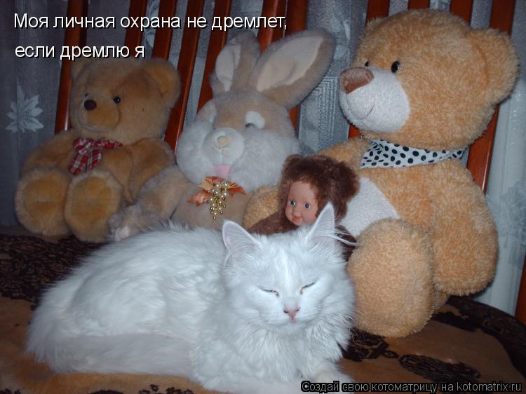 Моя личная охрана не дремлет если дремлю я ,... Котоматрица: Моя личная охрана не дремлет если дремлю я ,