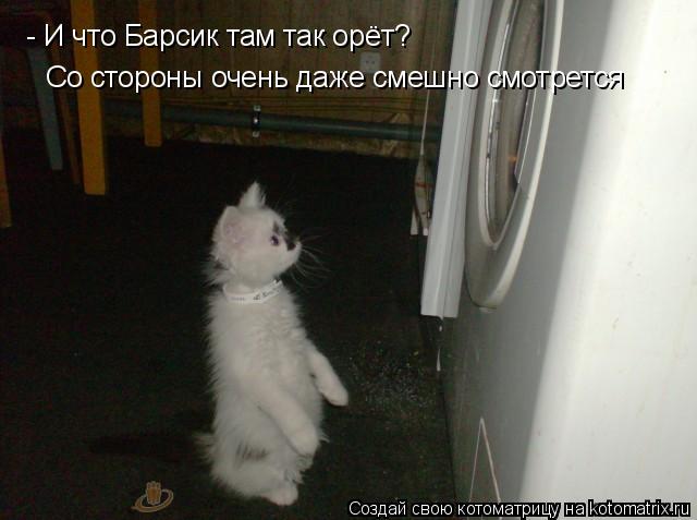 - И что Барсик там так орёт? Со стороны очень даже смешно смотрется... Котоматрица: - И что Барсик там так орёт? Со стороны очень даже смешно смотрется