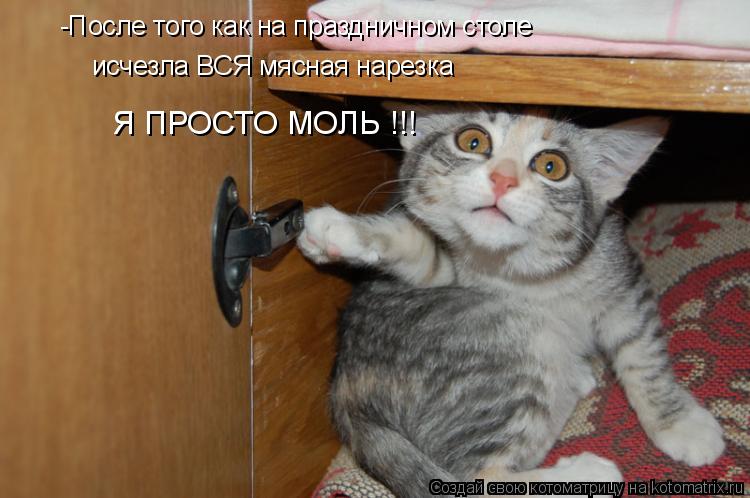 -После того как на праздничном столе исчезла ВСЯ мясная нарезка Я ПРОСТО МОЛЬ !!!... Котоматрица: -После того как на праздничном столе исчезла ВСЯ мясная нарезка Я ПРОСТО МОЛЬ !!!