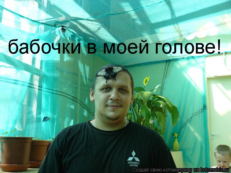 бабочки в моей голове!... Котоматрица: бабочки в моей голове!