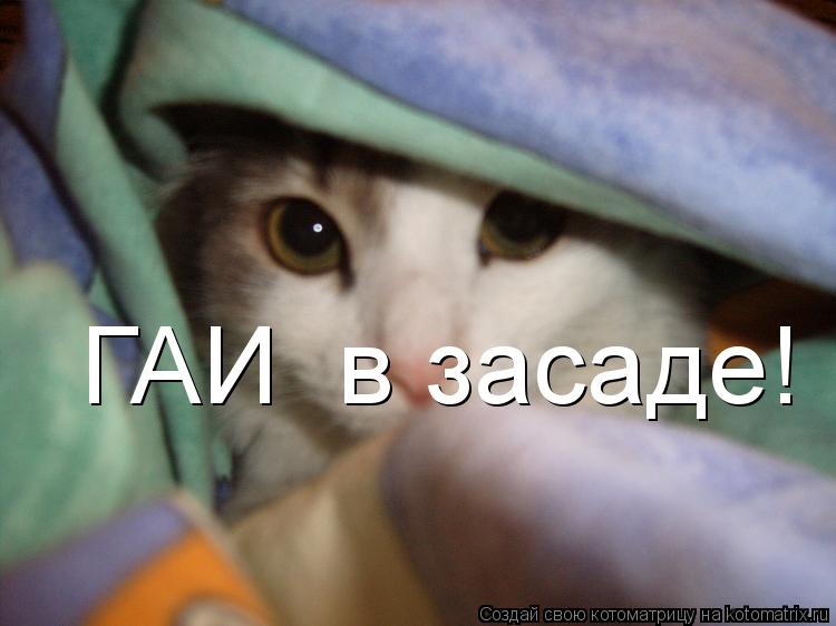 ГАИ в засаде!... Котоматрица: ГАИ в засаде!