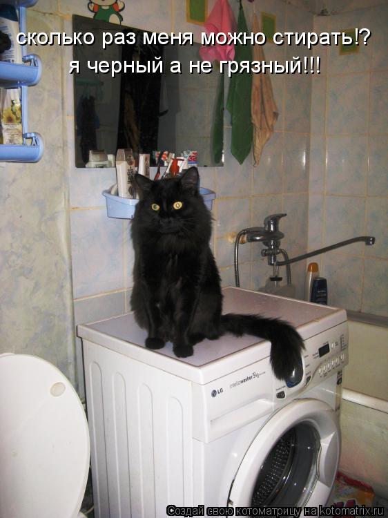 я черный а не грязный!!! сколько раз меня можно стирать!?... Котоматрица: я черный а не грязный!!! сколько раз меня можно стирать!?