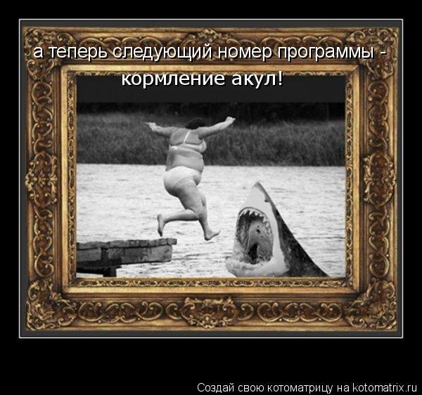 кормление акул! а теперь следующий номер программы -... Котоматрица: кормление акул! а теперь следующий номер программы -