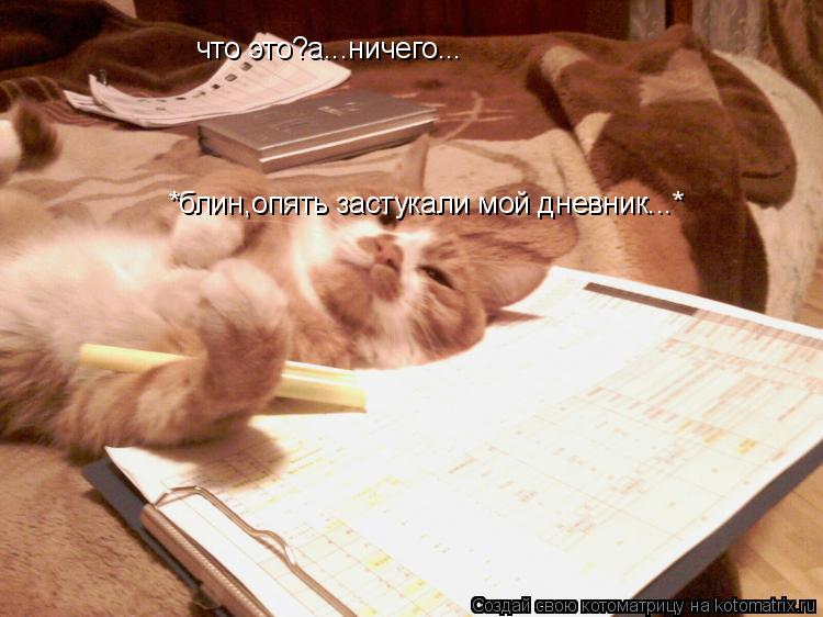 что это?а...ничего... *блин,опять застукали мой дневник...*... Котоматрица: что это?а...ничего... *блин,опять застукали мой дневник...*