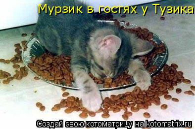 Мурзик в гостях у Тузика... Котоматрица: Мурзик в гостях у Тузика