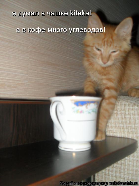 я думал в чашке kitekat а в кофе много углеводов!... Котоматрица: я думал в чашке kitekat а в кофе много углеводов!