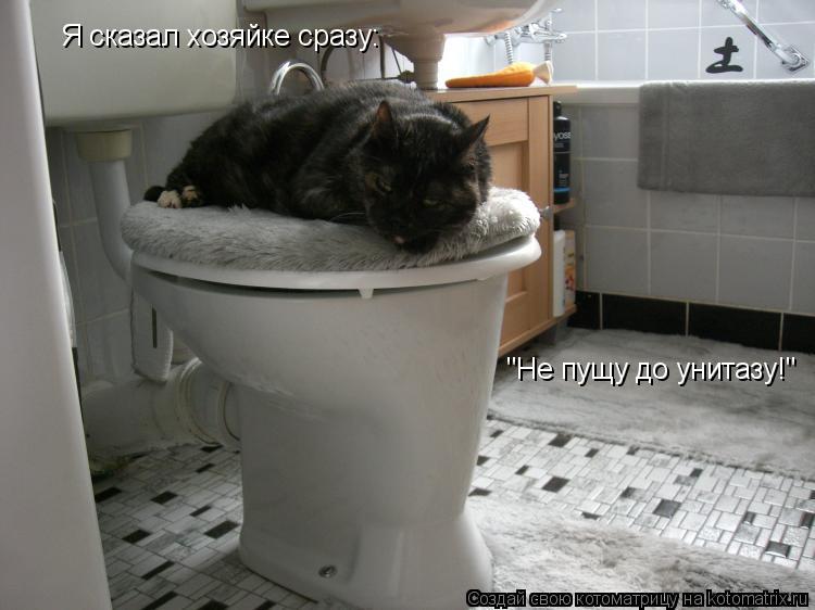 Я сказал хозяйке сразу: "Не пущу до унитазу!"... Котоматрица: Я сказал хозяйке сразу: "Не пущу до унитазу!"