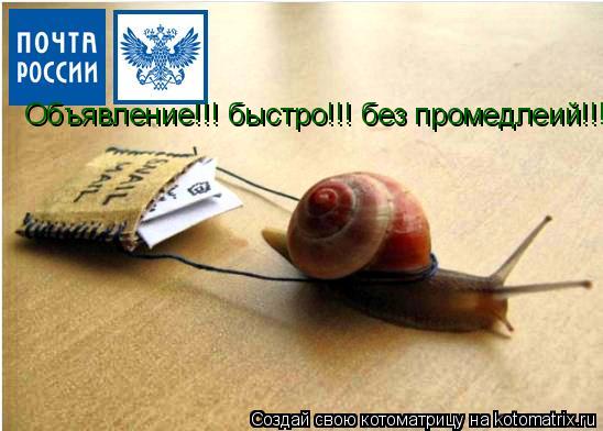 Объявление!!! быстро!!! без промедлеий!!! разнесу вашу корреспонденцию!!!... Котоматрица: Объявление!!! быстро!!! без промедлеий!!! разнесу вашу корреспонденцию!!!