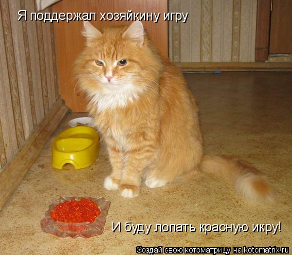 Я поддержал хозяйкину игру И буду лопать красную икру!... Котоматрица: Я поддержал хозяйкину игру И буду лопать красную икру!