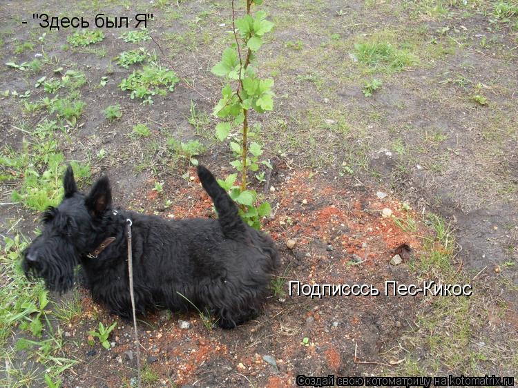 - "Здесь был Я" Подписссь Пес-Кикос... Котоматрица: - "Здесь был Я" Подписссь Пес-Кикос