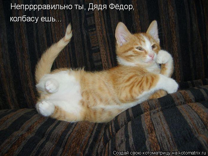 Непрррравильно ты, Дядя Фёдор, колбасу ешь...... Котоматрица: Непрррравильно ты, Дядя Фёдор, колбасу ешь...