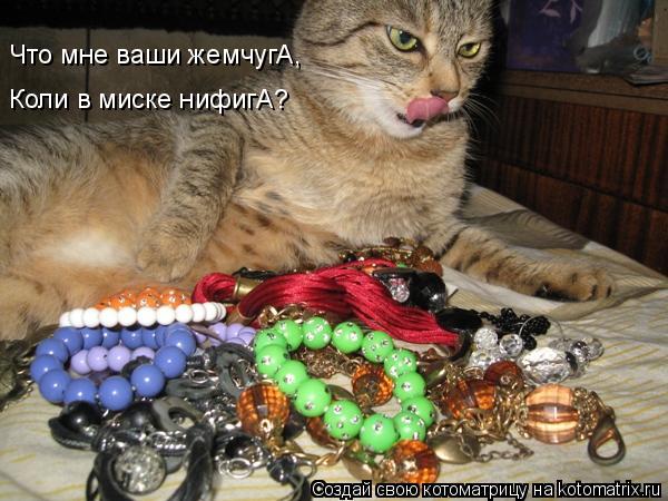 Коли в миске нифигА? Что мне ваши жемчугА,... Котоматрица: Коли в миске нифигА? Что мне ваши жемчугА,