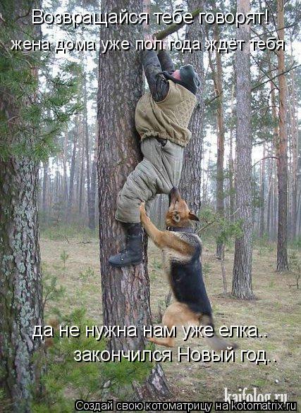 Возвращайся тебе говорят! да не нужна нам уже елка.. закончился Новый год.. жена дома уже пол года жд... Котоматрица: Возвращайся тебе говорят! да не нужна нам уже елка.. закончился Новый год.. жена дома уже пол года ждёт тебя
