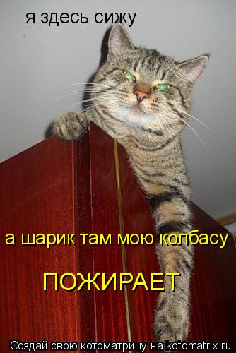 я здесь сижу а шарик там мою колбасу ПОЖИРАЕТ... Котоматрица: я здесь сижу а шарик там мою колбасу ПОЖИРАЕТ
