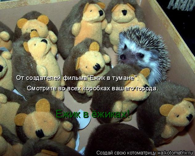 От создателей фильма"Ежик в тумане". Смотрите во всех коробках вашего города. Ежик в ёжиках!... Котоматрица: От создателей фильма"Ежик в тумане". Смотрите во всех коробках вашего города. Ежик в ёжиках!