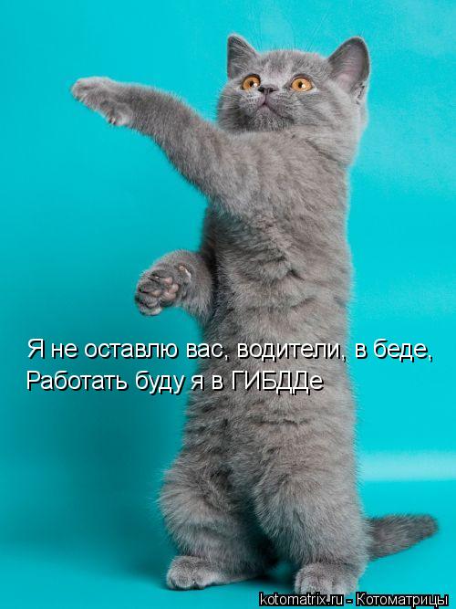 Работать буду я в ГИБДДе Я не оставлю вас, водители, в беде,... Котоматрица: Работать буду я в ГИБДДе Я не оставлю вас, водители, в беде,