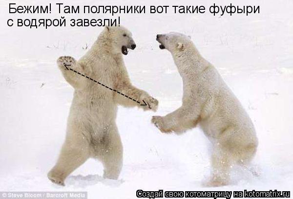 <------------------> Бежим! Там полярники вот такие фуфыри с водярой завезли!... Котоматрица: <------------------> Бежим! Там полярники вот такие фуфыри с водярой завезли!
