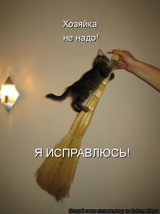 Хозяйка не надо! Я ИСПРАВЛЮСЬ!... Котоматрица: Хозяйка не надо! Я ИСПРАВЛЮСЬ!