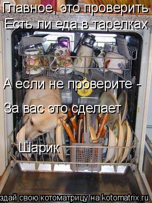 Главное, это проверить Есть ли еда в тарелках А если не проверите - За вас это сделает Шарик... Котоматрица: Главное, это проверить Есть ли еда в тарелках А если не проверите - За вас это сделает Шарик