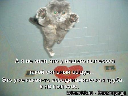 А я не знал,что у нашего пылесоса такой сильный выдув... Это уже какая-то аэродинамическая труба, а ... Котоматрица: А я не знал,что у нашего пылесоса такой сильный выдув... Это уже какая-то аэродинамическая труба, а не пылесос.
