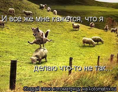 И все же мне кажется, что я делаю что-то не так...... Котоматрица: И все же мне кажется, что я делаю что-то не так...