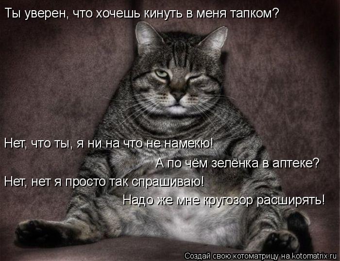 Ты уверен, что хочешь кинуть в меня тапком? Нет, что ты, я ни на что не намекю! А по чём зелёнка в ап... Котоматрица: Ты уверен, что хочешь кинуть в меня тапком? Нет, что ты, я ни на что не намекю! А по чём зелёнка в аптеке? Нет, нет я просто так спрашиваю! Надо ж