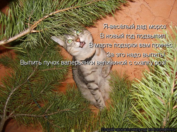Я-весёлый дед мороз В новый год подвыпил В марте подарки вам принёс. За это надо выпить! Выпить пучок... Котоматрица: Я-весёлый дед мороз В новый год подвыпил В марте подарки вам принёс. За это надо выпить! Выпить пучок валерьянки величиной с охапку роз!